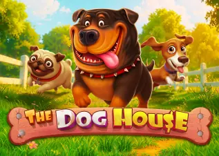 amata1688 ทางเข้าล่าสุด The Dog House ทดลองเล่นฟรี